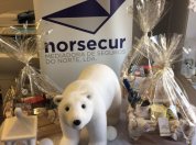 Festas Felizes 2017!